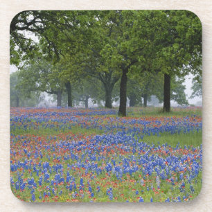 Porta-copo Texas, Texas Hill Country, pincel de Texas e