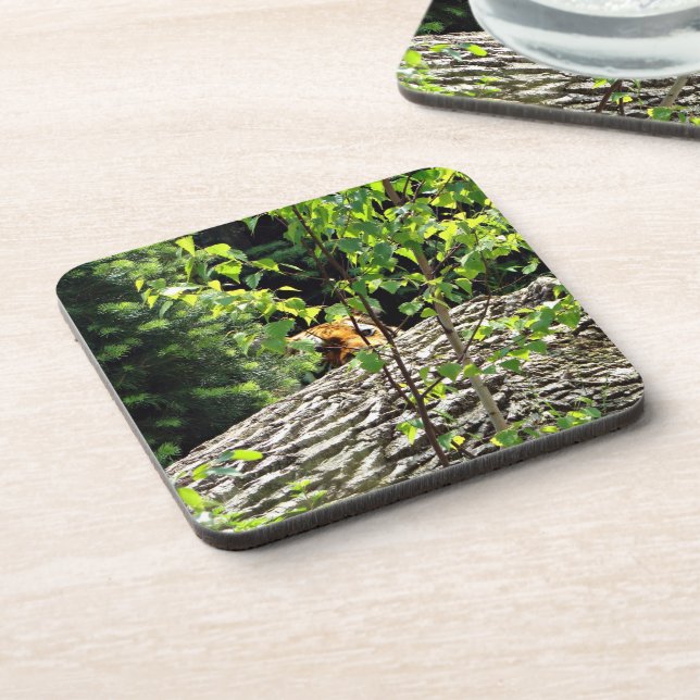 Porta-copo Tiger Peek-a-boo Hard Plastic Coaster (Left Side)