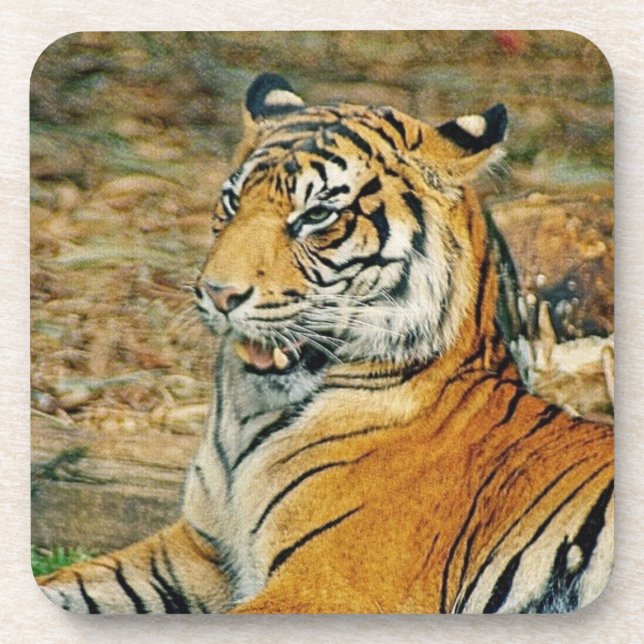 Porta-copo Tigre (Frente)