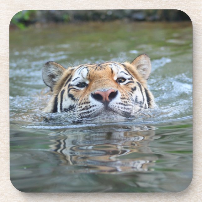 Porta-copo Tigre 028 (Frente)
