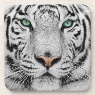 Porta-copo Tigre Branco