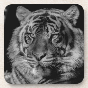 Porta-copo Tigre preto e branco