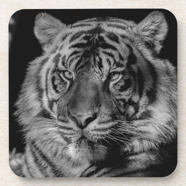 Porta-copo Tigre preto e branco (Frente)