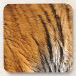 Porta-copo Tigre-Stripes-Big Cat Wildlife