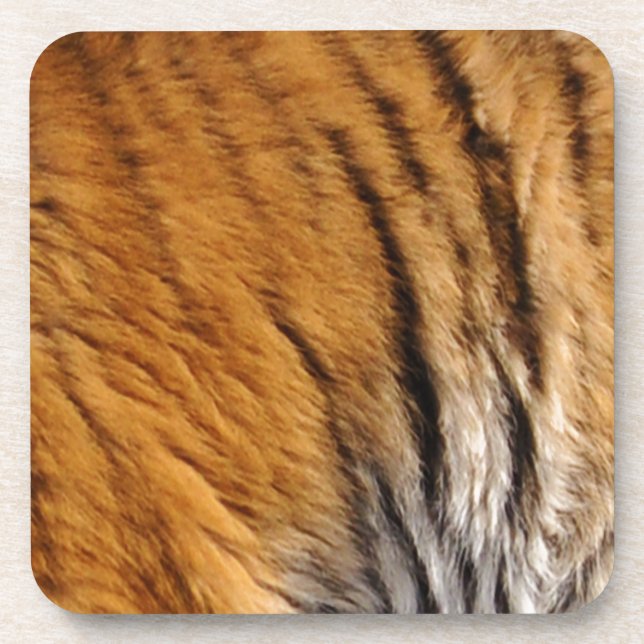 Porta-copo Tigre-Stripes-Big Cat Wildlife (Frente)