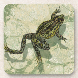 Porta-copo Toad Swinning na água