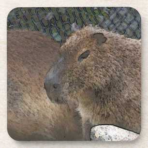 Porta-copo toony Capibarah