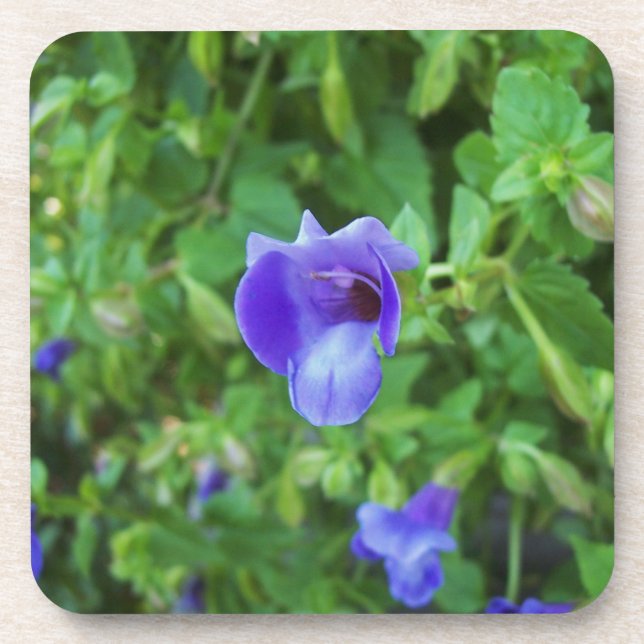 Porta-copo Torenia (Frente)