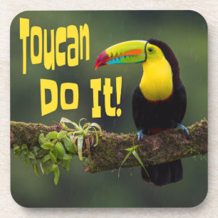 Porta-copo Toucan Faça Isso! Pun Motivacional Colorido