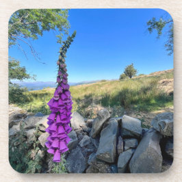 Porta-copo Tranquilidade do campo inglês