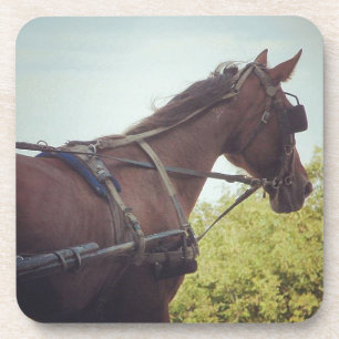 Porta-copo Transporte de Cavalos Desenhados
