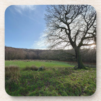 Porta-copo Tree view..