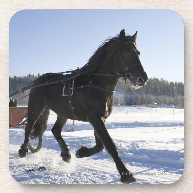 Porta-copo Treinamento dos cavalos em uma paisagem invernal, (Frente)