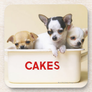Porta-copo Três filhotes de cachorro da chihuahua na lata do