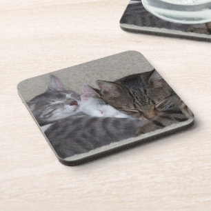 Porta-copo Três portas copos dos gatos