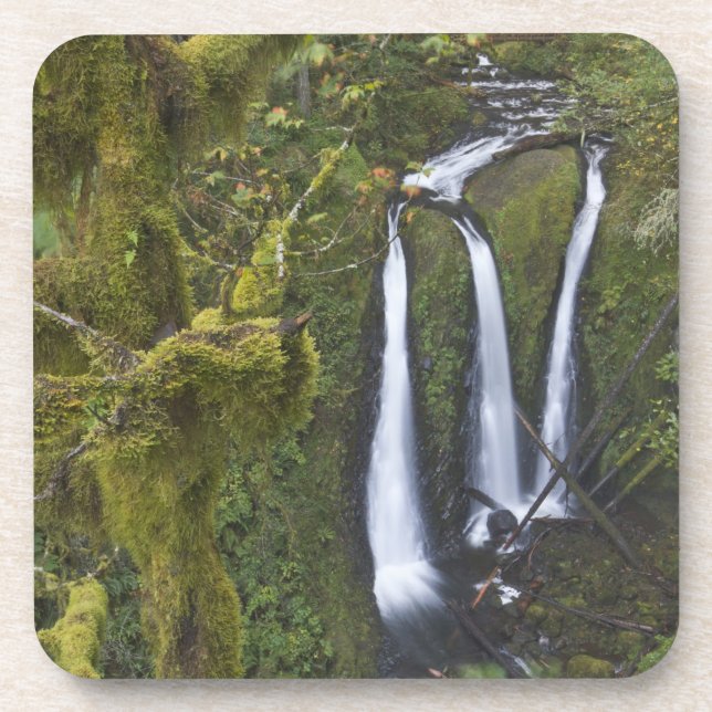 Porta-copo Triple Falls, Garganta do Rio Columbia (Frente)