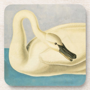 Porta-copo Trompeter Swan por John James Audubon, Vintage Bir