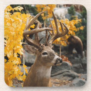 Porta-copo Trophy Deer