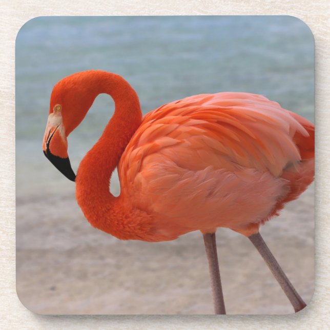 Porta-copo Tropical Beaches | Caribbean Flamingo, Aruba (Frente)