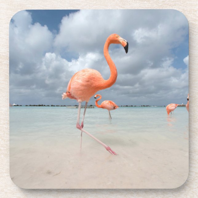 Porta-copo Tropical Beaches | Flamingos Beach, Aruba (Frente)
