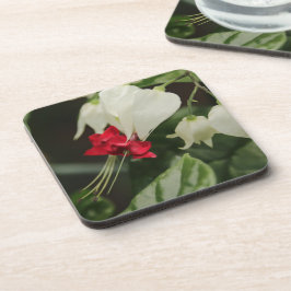 Porta-copo Tropical Flower Coaster Set