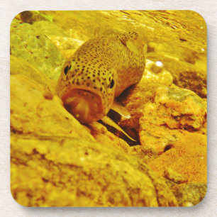 Porta-copo Truta em fluxo