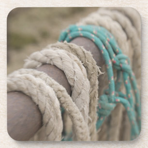 Porta-copo Tucson, arizona: Cordas e hanrnesses usados sobre