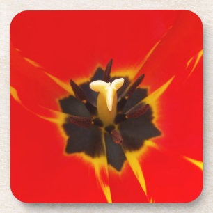Porta-copo tulipa amarela vermelha