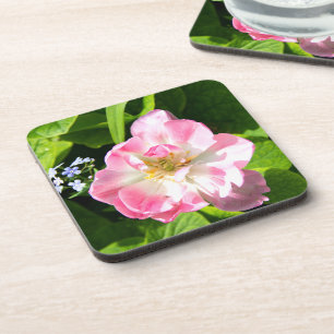 Porta-copo Tulipa rosa-branca