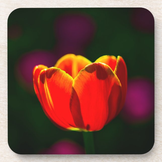Porta-copo tulipa vermelha (Frente)
