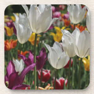 Porta-copo Tulipas