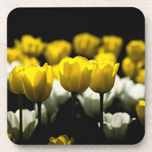 Porta-copo Tulipas Amarelo E Branco