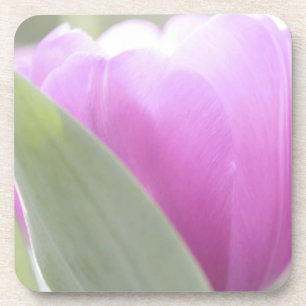 Porta-copo Tulipas, Jardins Keukenhoff, Holanda. 2