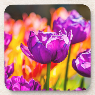 Porta-copo Tulipas que Enchanting o roxo