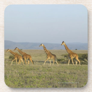 Porta-copo Tutela dos animais selvagens de Lewa, Kenya