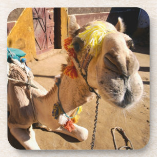Porta-copo Um camelo amigável espera seu cavaleiro seguinte,