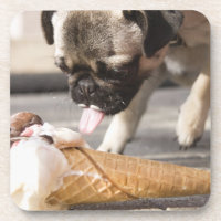 Um cão que come um sorvete de um pavimento