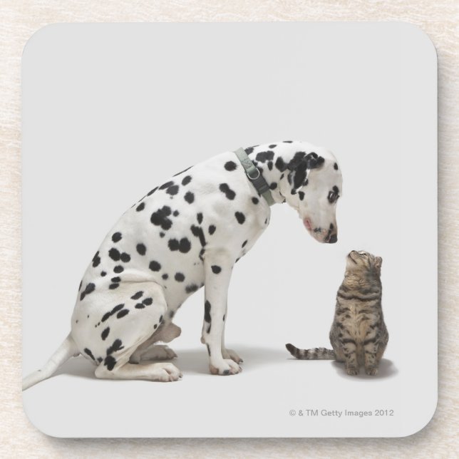 Porta-copo Um cão que olha um gato (Frente)