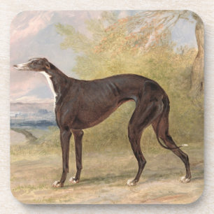 Porta-copo Um dos galgos de vencimento do Fox da pista de