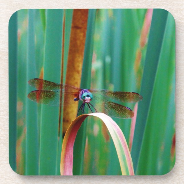 Porta-copo Um Dragonfly de Olhos Vermelhos com cattails (Frente)