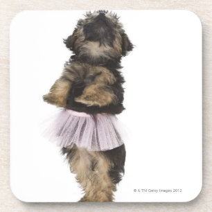 Porta-copo Um filhote de cachorro de Yorkie-poo em um tutu em