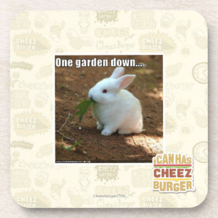Porta-copo Um jardim Down�