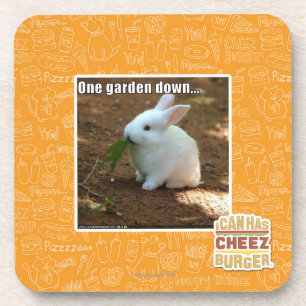 Porta-copo Um jardim Down�