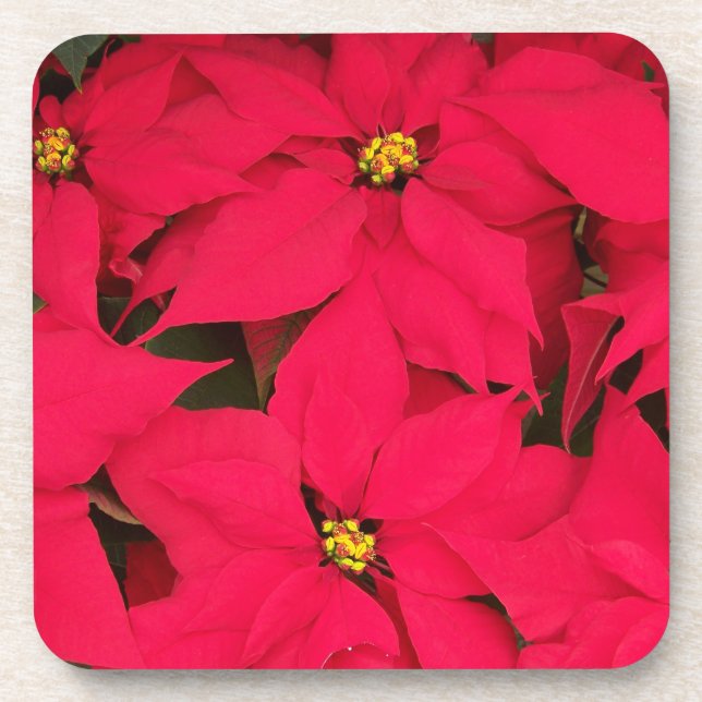 Porta-copo Um monte de Poinsettias de Natal Brilhante (Frente)