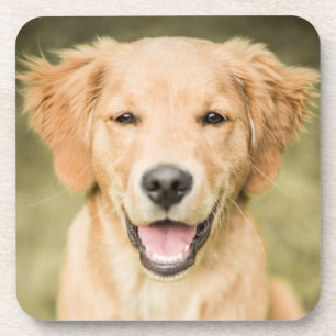 Porta-copo Um retrato de um filhote de cachorro do golden