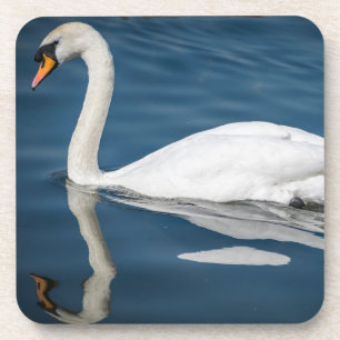 Porta-copo Uma cisne e suas portas copos plásticas duras da