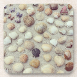 Porta-copo Uma coleção dos Seashells