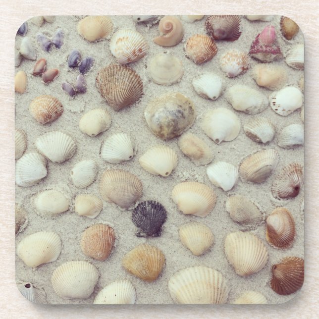 Porta-copo Uma coleção dos Seashells (Frente)