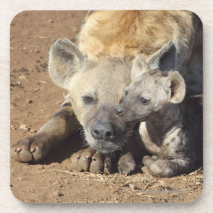 Porta-copo Uma fêmea manchou a hiena e o seu filhote, Kruger