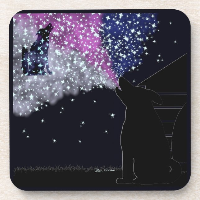 Porta-copo Uma noite de verão com Sirius (Frente)